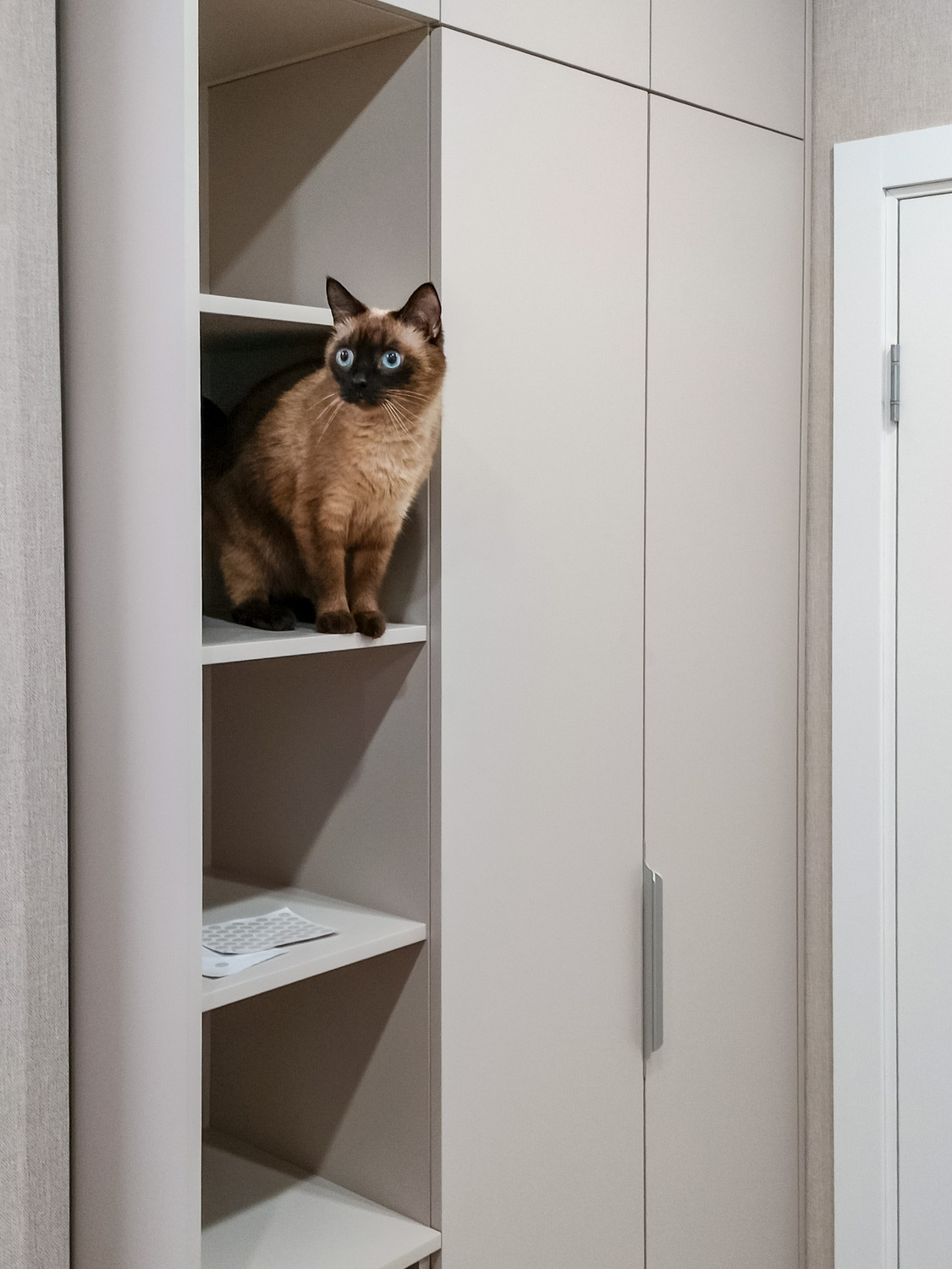 Изготовление мебели по индивидуальным размерам Мебель на заказ